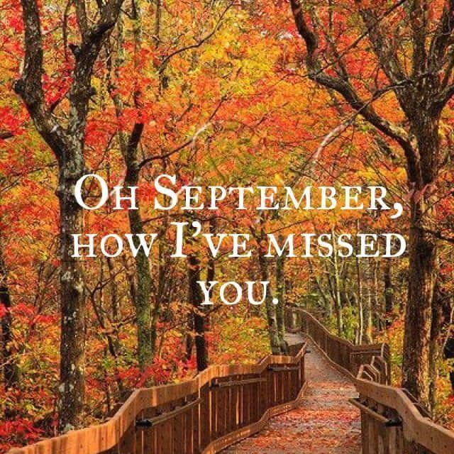 samuella's tweet photo. https://t.co/KhO9kQ7Xis