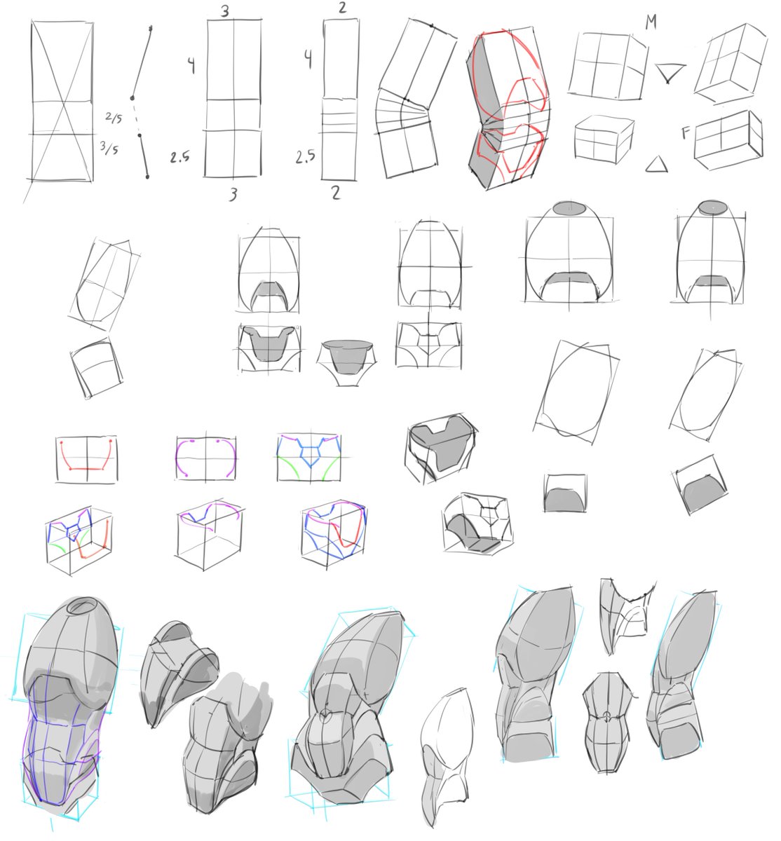 Desquolor's tweet photo. ten ten torso studies https://t.co/M680AChUIT