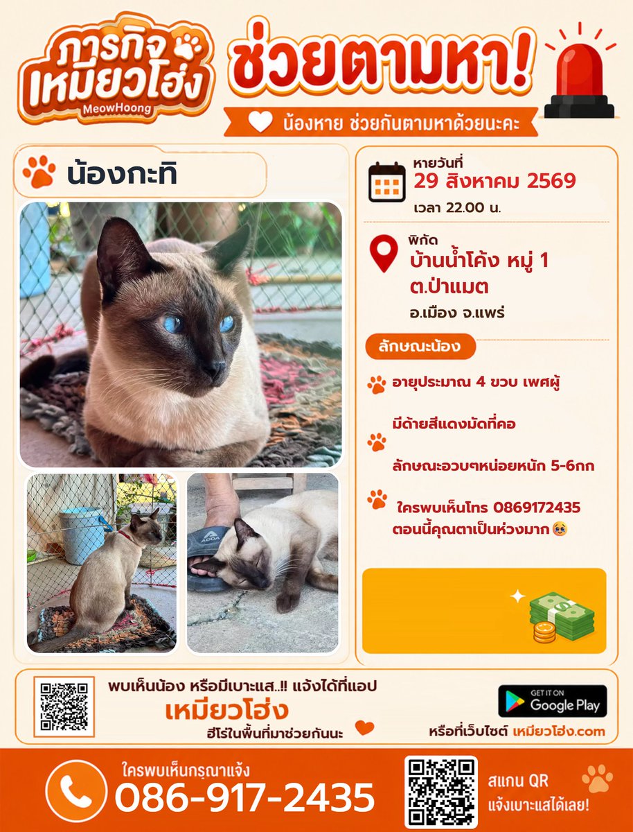 MeowHoongTH's tweet photo. ตามหาแมวหาย 
ตามหา "น้องกะทิ" แมวเพศผู้ รูปร่างอวบ (หนัก 5-6 กก.) ตาสีฟ้า

• จุดสังเกตสำคัญ: น้องผูก ด้ายสีแดง ไว้ที่คอ
• หาย: บ้านน้ำโค้ง หมู่ 1 ต.ป่าแมต อ.เมือง จ.แพร่ (หาย 29 ส.ค. 69)

📞 โทร 086-917-2435
🌐 เว็บ https://t.co/dnWyKxIrYv

#เหมียวโฮ่ง #แมวหายแพร่ #ป่าแมต #แพร่ https://t.co/zdND2oXYb3