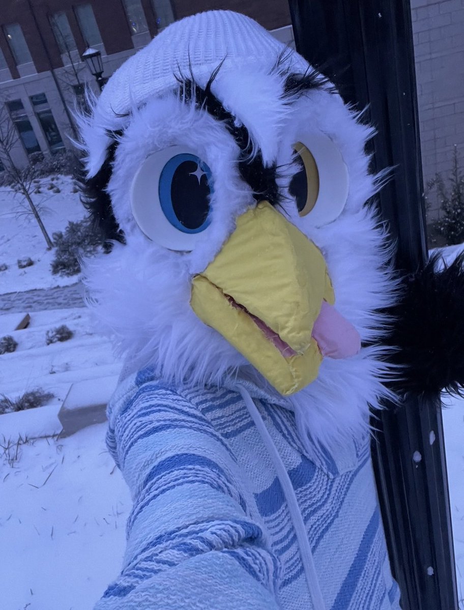 JustTangoMango's tweet photo. @DizzyPenguinFur REALLLL https://t.co/IweU9WyiLm