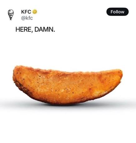 boyerabstract's tweet photo. #heredamn https://t.co/mqvR7HJ6fa