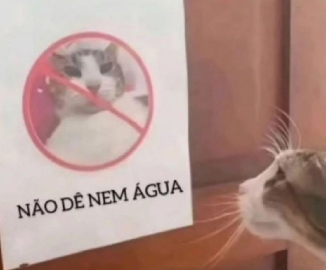 Small_5h's tweet photo. Pqp eu odeio SJC cidade de trilhonesimo mundo https://t.co/ZCnf2aSzdf