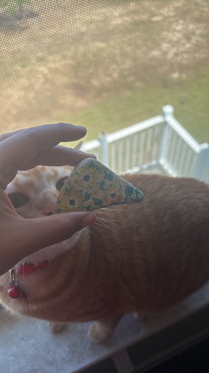 aidynthabish's tweet photo. 🌻I found a rock🌼 #nature #nsfw #rock https://t.co/hJV70e3ifl