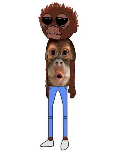 primateluvr's tweet photo. Gucci Orangutan https://t.co/uEACgtVO5x