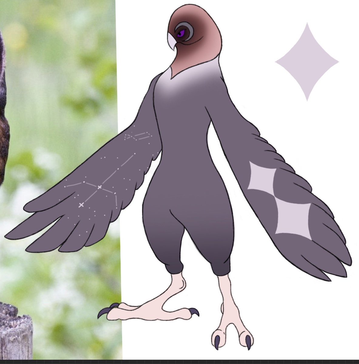 CalypsoWalker's tweet photo. @Kozitel Freshly made, the stargazing Rito!(I just realize so forgot to give her tail feathers https://t.co/rsLnzVrLlg