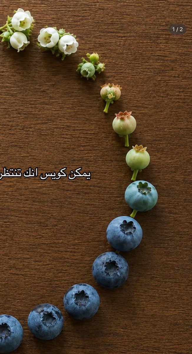 taeala7's tweet photo. الصوره هذي اسوء من الأرنب اللي معه ساعه https://t.co/nB833urxLY