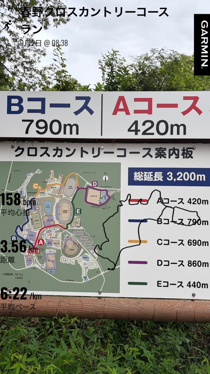 gorihige tweet picture
