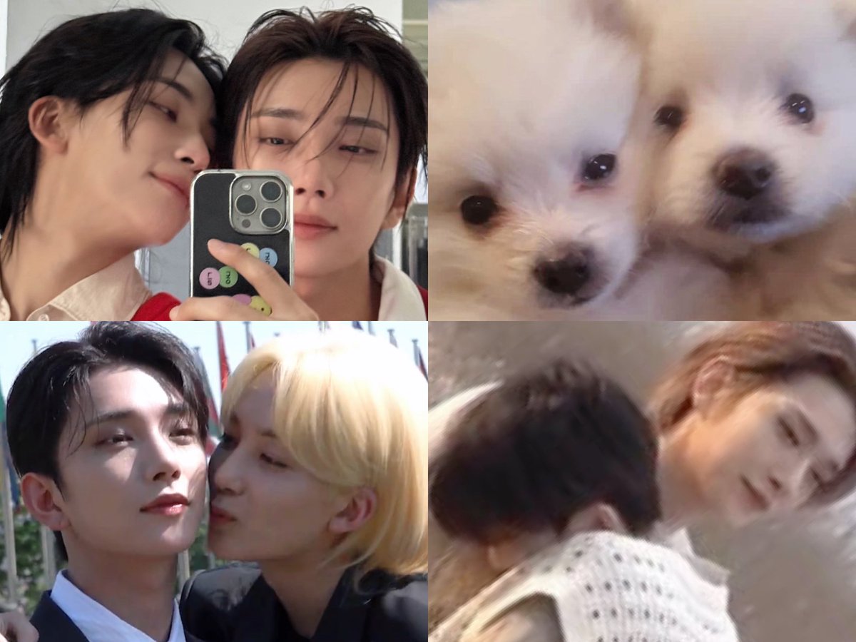 myboo_hani's tweet photo. 🫳🏻
🐶 https://t.co/z6QkFybLm8