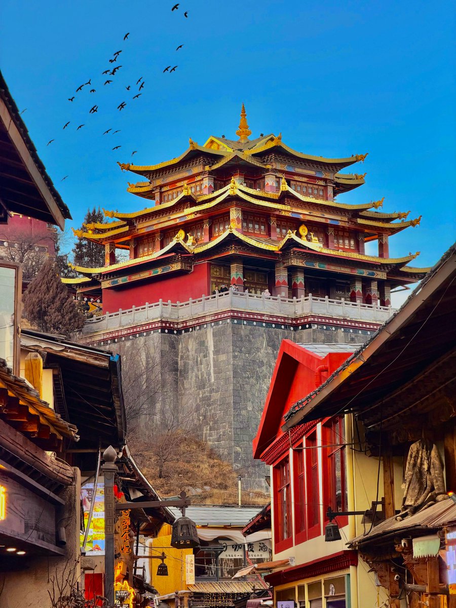ezentrip's tweet photo. Shangri-La’s Dukezong Ancient Town 🏔️🏮

At over 3,000 meters above sea level, Dukezong is a beautiful blend of Tibetan culture and ancient Silk Road history.
#Dukezong #ShangriLa #Yunnan #TibetanCulture #ChinaTravel https://t.co/Th7qy7OhGb