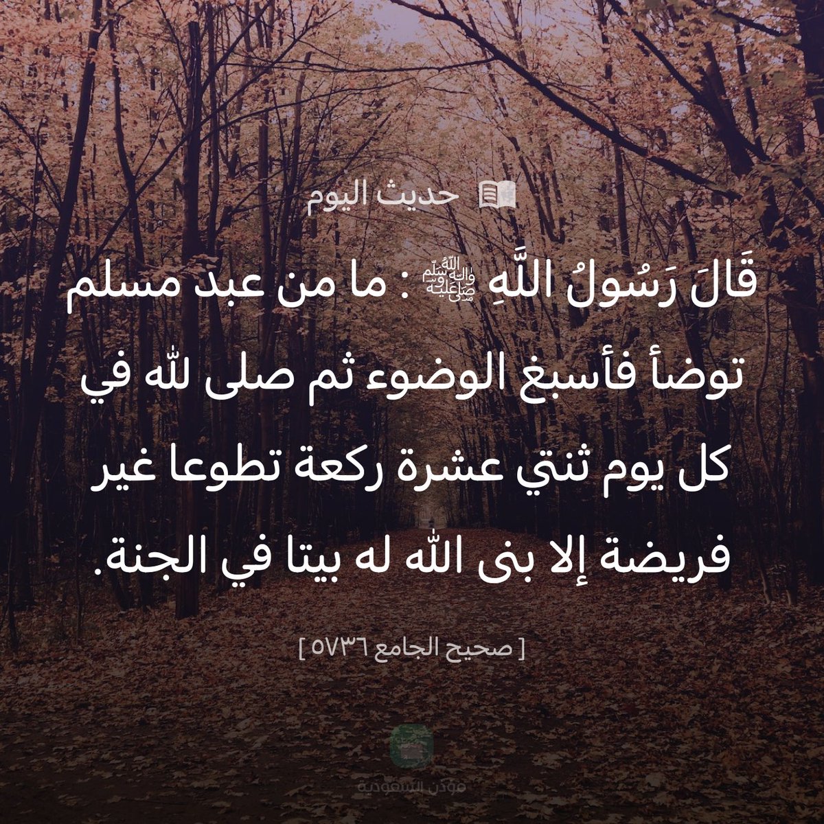 abdlkarim10's tweet photo. https://t.co/x3lNMPlvtb