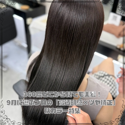 ALPHA_SALON_'s tweet photo. ツヤ髪になれる秋カラーって？
https://t.co/w8Lpu1SXEv https://t.co/NWdUsdNBqp
