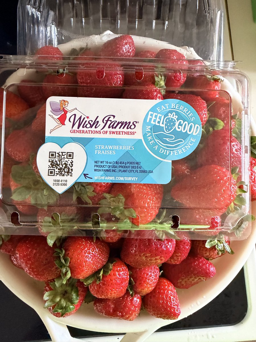 GhostmintO71217's tweet photo. Fresh Wish Farms strawberries โ freeze-dried right here in Jupiter.
No boring dried fruit over here. Weโre talking light, crispy, intensely strawberry crunch.
Next stop: the freeze dryer.
@wishfarmsberries
#CoastalFreezeCo #FreezeDriedStrawberries #WishFarms #JupiterFL #FreezeDriedFruit