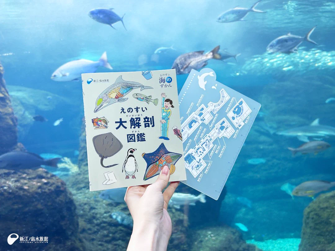 新江ノ島水族館 (@enosui_com) / X