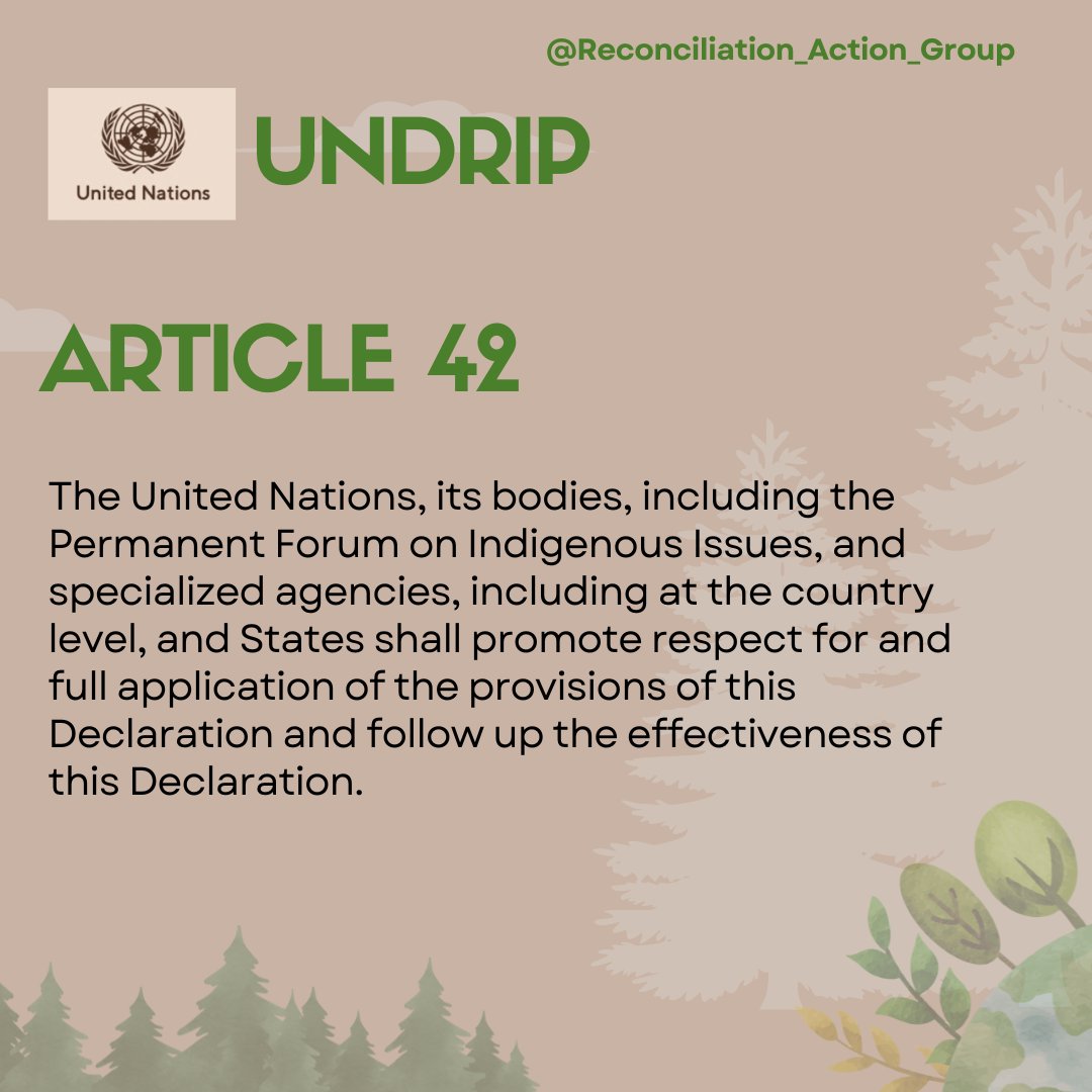 ReconciliACTgr's tweet photo. Sharing each Article from The United Nations Declaration on The Rights of Indigenous Peoples
UNDRIP Article 42
#UNDRIP #HumanRights #Indigenous #Canada https://t.co/iXYBgfPF4q