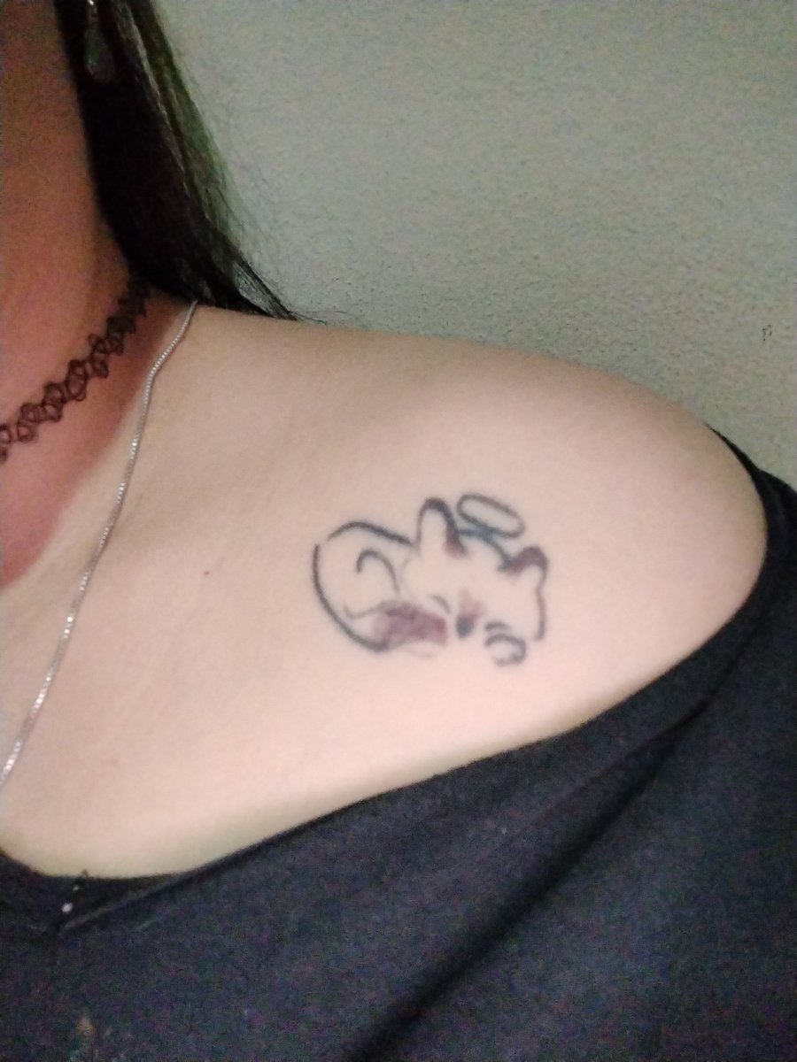 _Chomesuke's tweet photo. Inclusive essa tatuagem fiz em homenagem a ele. https://t.co/QL9TBJSqcT