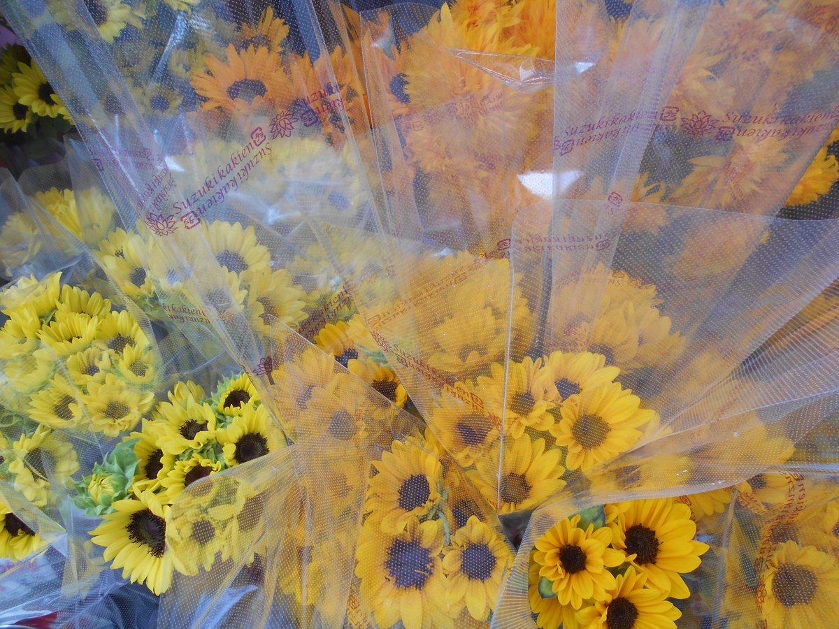 flowermarche01's tweet photo. 9/2営業中　本日さらに半額１０本５００円　お好みの花束作ります　何でもお気軽に相談ください　kzy200160@yahoo.co.jp　Tel0443853736　#花束 #プレゼント #バースデー #お祝い #地方発送 https://t.co/Af6P3KF5sS