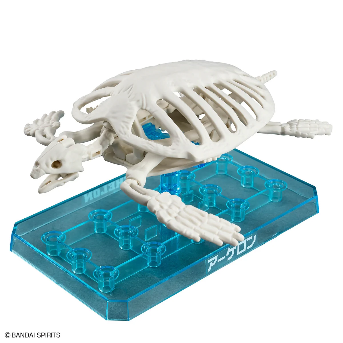 最終価格 カメ子カメ男 ED20 サイン入り キミに名前をつけてあげなきゃね。 BANDAI HOBBY公式（BANDAI SPIRITS） on X: 