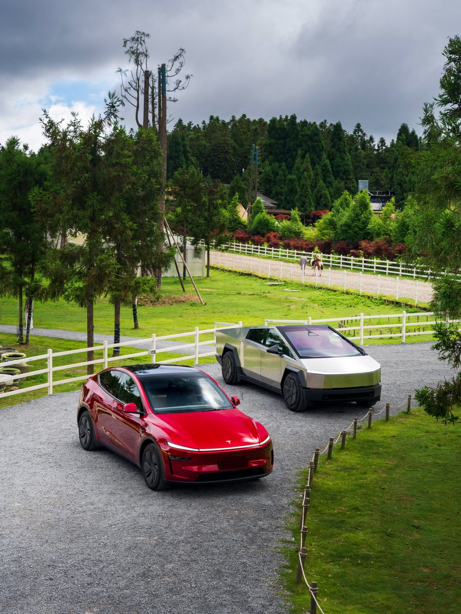 Tesla_Asia's tweet photo. Model Y, Cybertruck and the local welcome committee 🦙
📍: Chongqing
📸: 公路映画 https://t.co/B7z96e3GiA