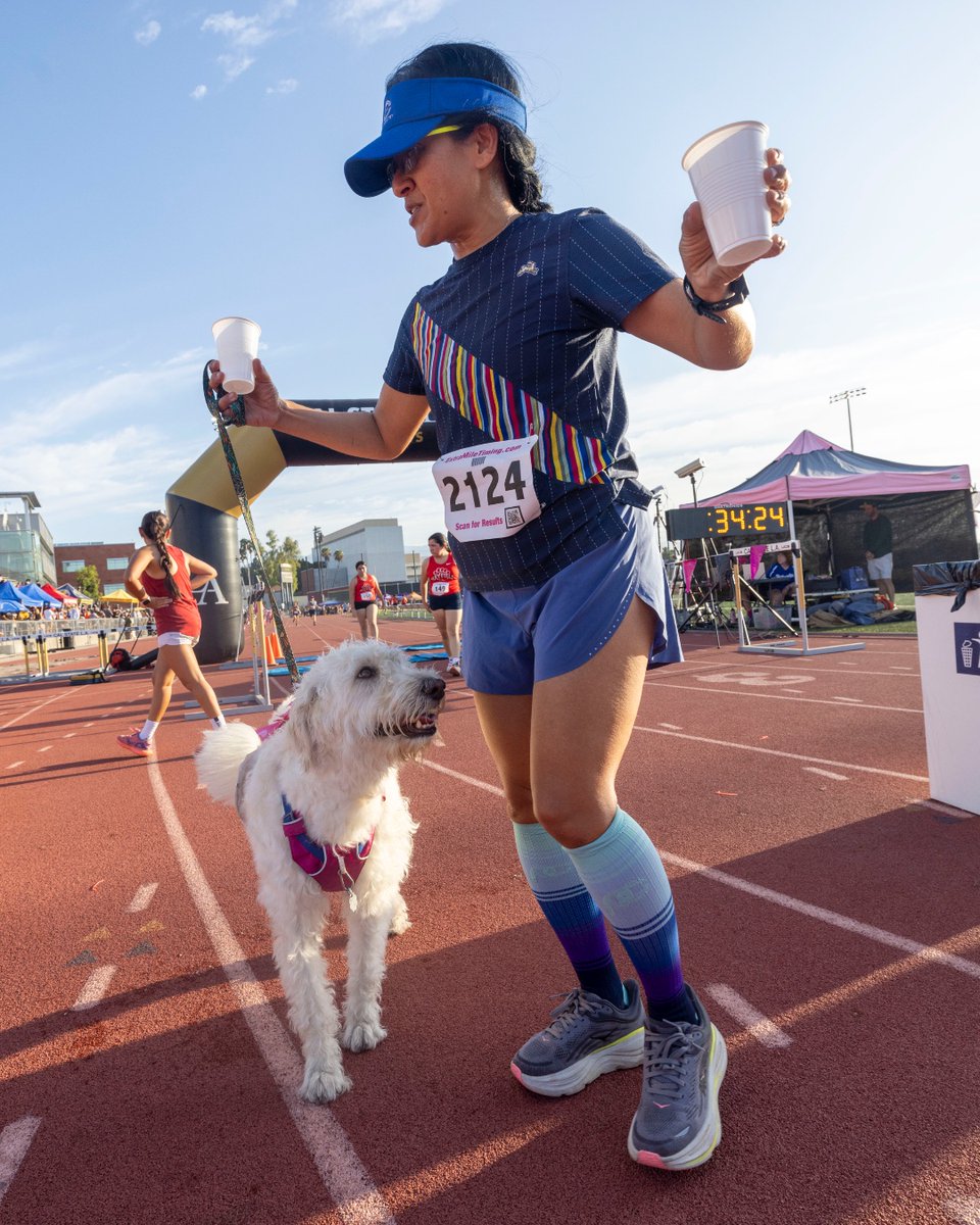 CalStateLA's tweet photo. Did they care about their finishing times? Probably not. Did they stop to sniff things along the way? Absolutely. 🐶 

Either way, the four-legged competitors in our inaugural Doggy Division crossed the finish line with enthusiasm, and that's a good day in our book! 🐾 https://t.co/unlkxxg2ca