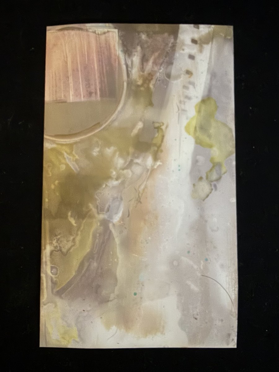 __fredosauce's tweet photo. Lumen photography experiments w/ Ilford papers. Very odd and niche but kinda fun https://t.co/2RrspyRHBb