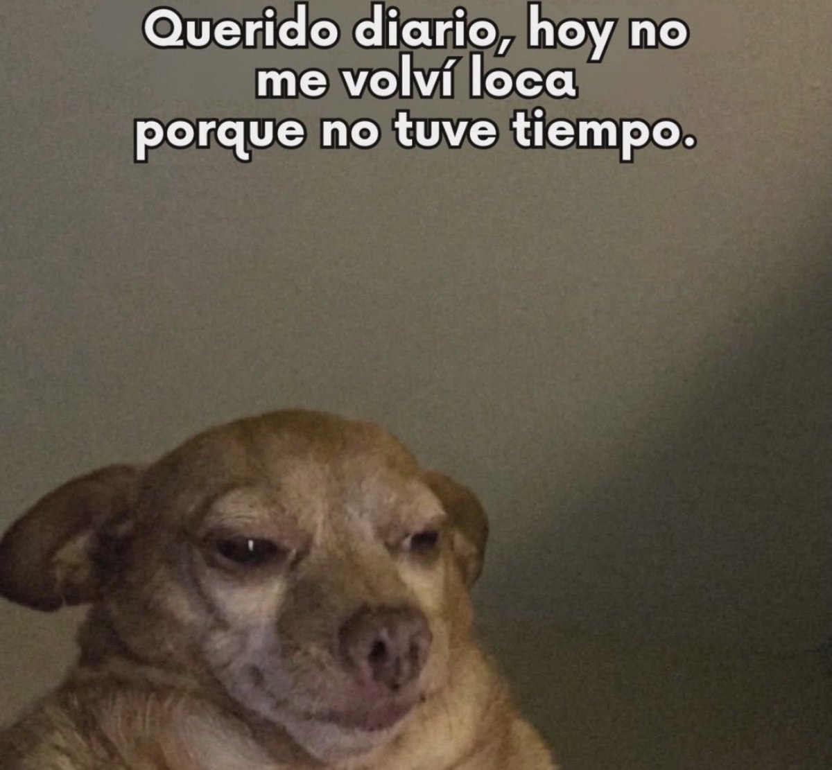 Marie_GH's tweet photo. Y ando con un cansancio mental marca diablo 🫠 https://t.co/GhjcgHjrsV