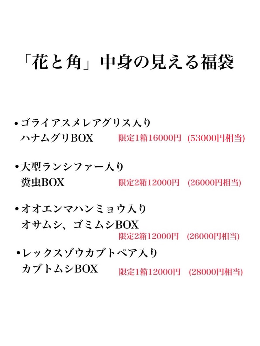 dkyygbs's tweet photo. 今回のインセクトフェアでは「花と角」初の試みとなる中身の見える福袋を販売いたします。

もちろんB品や不要在庫ではありません。
特にハナムグリBOXは相当お買い得かと思います。

それぞれの内容は以下のリストをご覧下さい。

※展足品は針を抜いた状態でパッキングしております。
展足品と未展足品が混ざります。
標本の画像はイメージです。

#インセクトフェア
#花と角