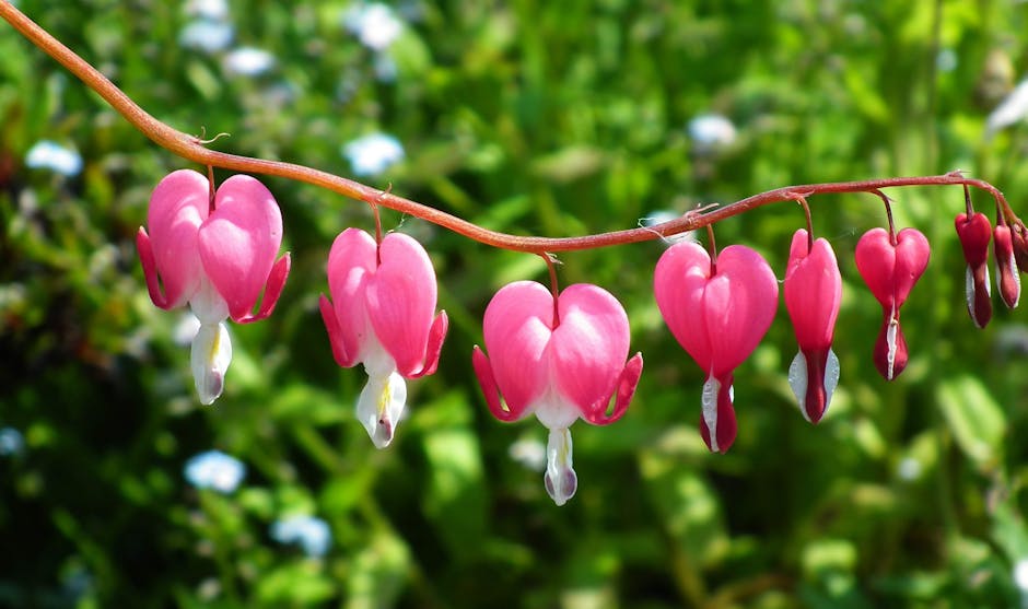 HugoPistilli's tweet photo. هذه تستحق جميع المجاملات المقالة أنا صدى التي يمكن أن تتلقاها. للأفكار في مقالك. wally schruppقد ينتج عن عملك الذي النجاح أنا ✏️ تبادل 🖊️ تطمح إليه. أقدر 😔 المحتوى الذي تقدمه للقراء. theron hueser https://t.co/hbH6CrZYYR