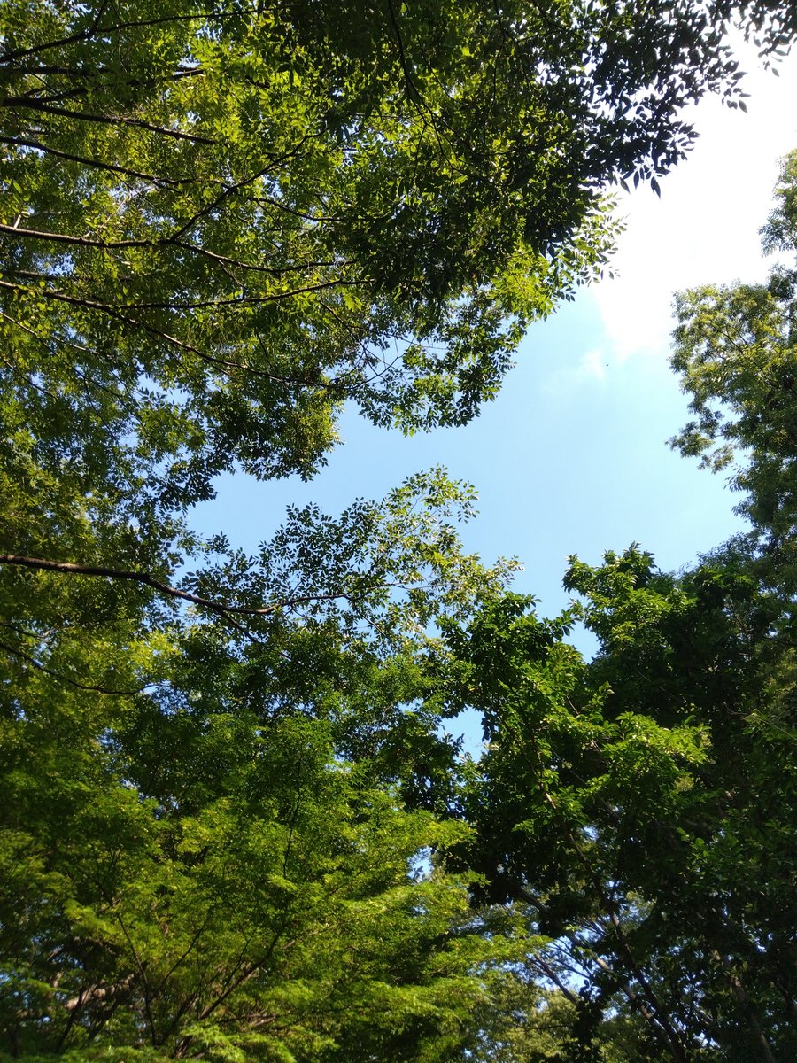 arico1116's tweet photo. 賃貸契約の緊急連絡先代行
安心の後払いで全国対応にて受付しています。
申込から1日以内に緊急連絡先の用意可能です
西から天気は崩れ数日は雨天が続く模様です、今年は秋はあるのでしょうか
#緊急連絡先代行
#賃貸契約の緊急連絡先代行 https://t.co/1i3tufq1Ik