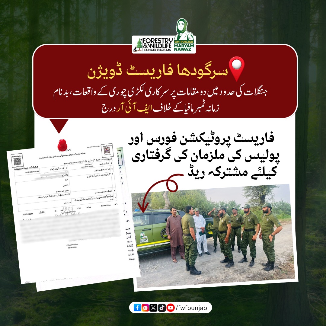 fwfpunjabpk's tweet photo. سرگودھا فاریسٹ ڈویژن
جنگلات کی حدود میں دو مقامات پر سرکاری لکڑی چوری کے  واقعات، بدنام زمانہ ٹمبر مافیا کے خلاف ایف آئی آر درج۔
فاریسٹ پروٹیکشن فورس اور پولیس کی ملزمان کی گرفتاری  کیلئے مشترکہ ریڈ۔
.
.
.
#StopIllegalLogging #TimberMafia #forest #fwfpunjab #GovtOfPunjab https://t.co/q6dYa6pMm7