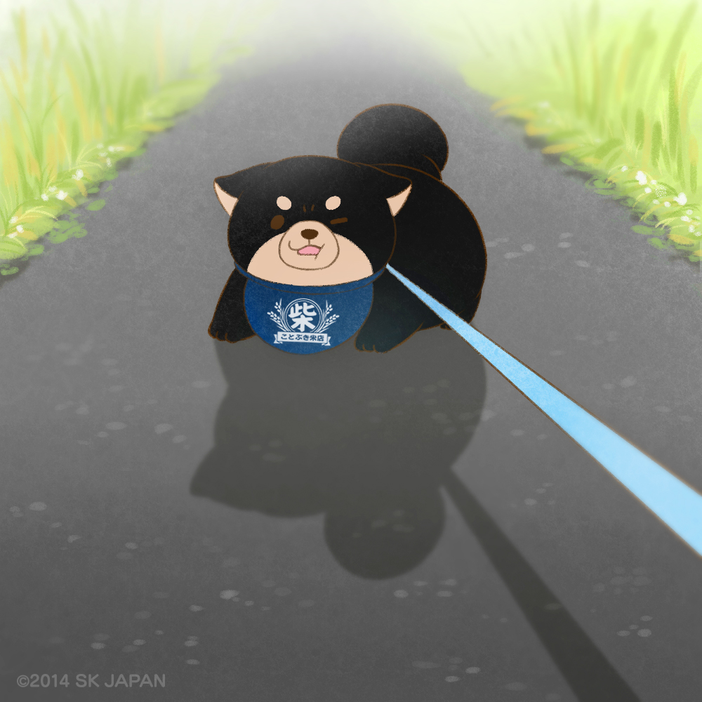 c_mochishiba's tweet photo. ご主人ーっ いやですーっ
まだここで あそびたいですーっ！
(ごま🐾)

#拒否柴 #忠犬もちしば https://t.co/aNwwjWMbrn