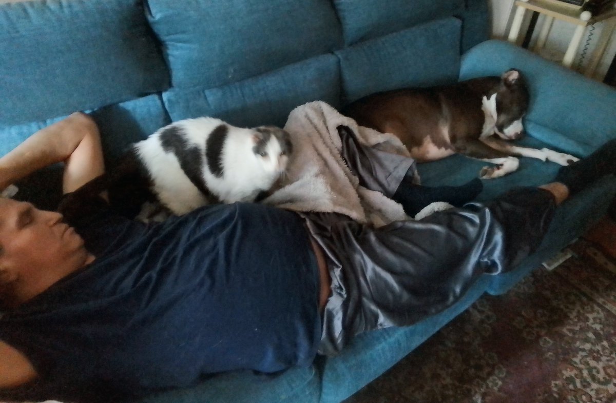 LebrockTony's tweet photo. 🐾Riley,Papa &amp; Sis Little Moo¡¡🐾💙
💙🐾🖤🤍😎😻🐶⭐🫰🤍🖤🐾💙
#kittiesandpitties #scottishfoldcat
#catsoftwitter #pittrageous #catx
#pittiesandkitties #sisterlove #piti
#catsanddogs #dogsandcats #cat https://t.co/EwaR4lCnpr