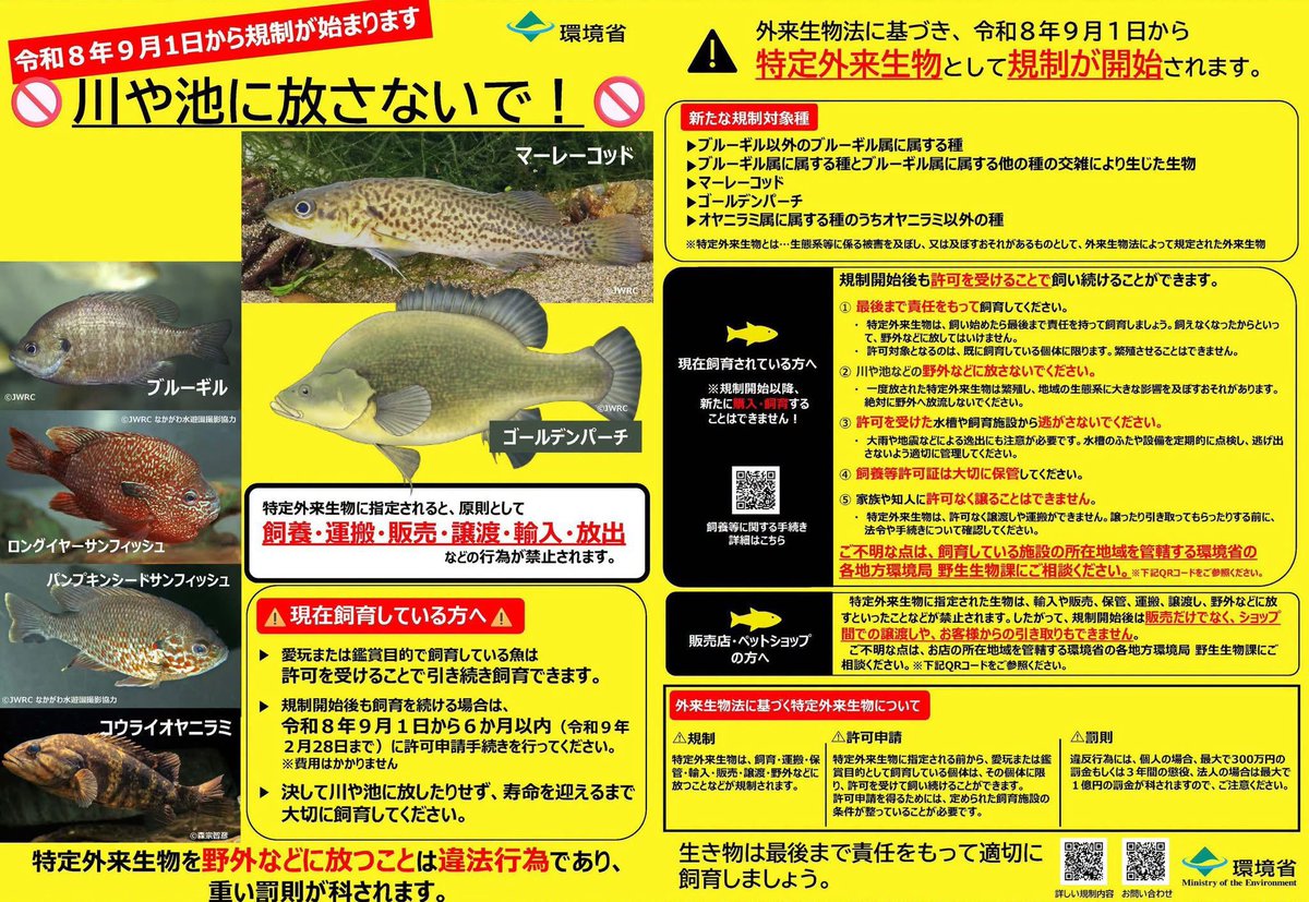 BassKawaraban's tweet photo. ニュースのこっち側（26/09/02）魚類5種を新たに特定外来生物指定!! 外来生物法の新施行令が発効

https://t.co/DEkauR142D https://t.co/aCO9njZAPq