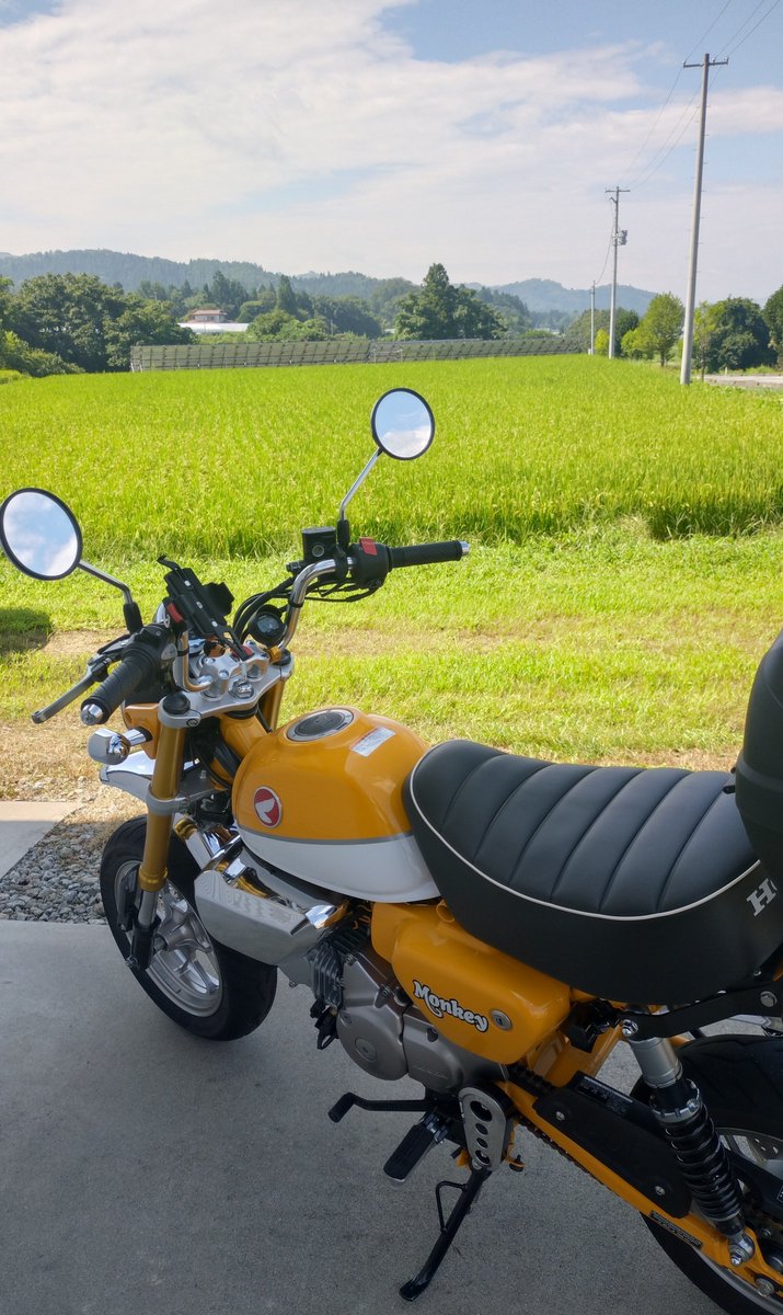 BikeyaNishimura's tweet photo. 今日はちょっと天気が良さそう☀️
125モンキーちゃんで牛乳買いに行って来ます🥛 https://t.co/RWLBPvDOQf
