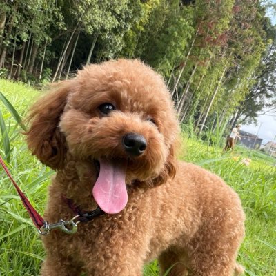 habatch's tweet photo. #新しいプロフィール画像 https://t.co/fa16oUNpaN
