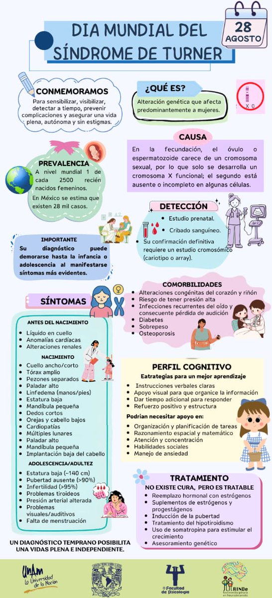 RINDe_UNAM's tweet photo. Cada 28 de agosto conmemoramos el #DíaMundialDelSíndromeDeTurner el diagnóstico oportuno mediante estudio cromosómico es clave para asegurar un desarrollo autónomo e independiente.

Afecta a 1 de cada 2,500 recién nacidas. Conoce más en nuestra infografía de la @RINDe. https://t.co/7p2Z2tw3sz