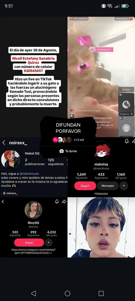 nikoock's tweet photo. @elistrangez Acá están sus redes sociales, ojalá esto no quede acá y lleguen hacer justicia las autoridades https://t.co/JIpMK01IeA