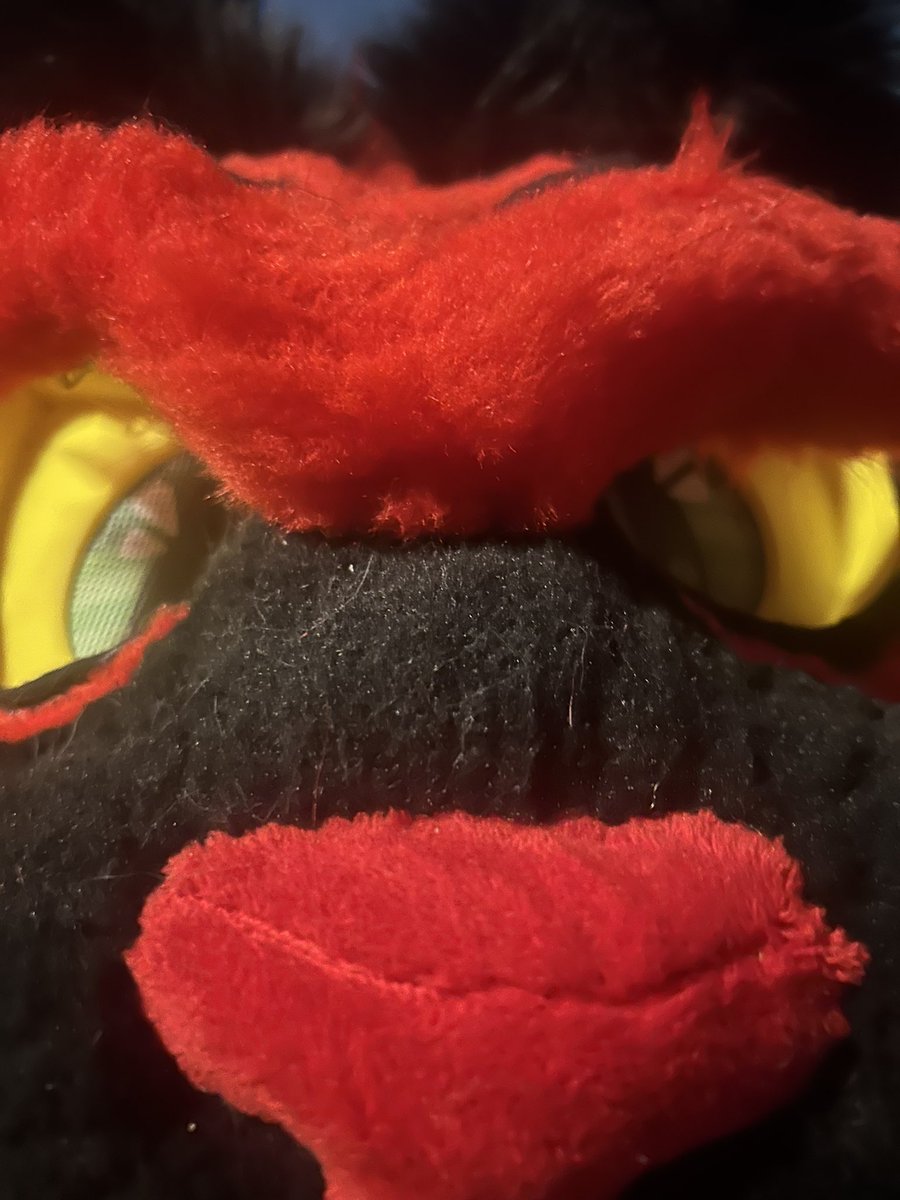 0you_know01's tweet photo. @Bathymthicc QRT with a snoot❤️ https://t.co/8aVw8WST4q
