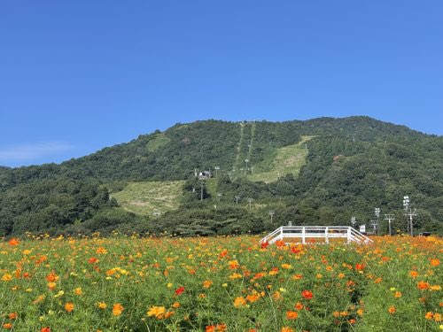 IOX_WALD's tweet photo. 秋の🍂学割🧑‍🎓スタート▶️
10月末まで、学生さんコテージご宿泊で1人500円割引🈹
お得に泊まって、仲間達とワイワイしよう‼️
チェックイン時学生証をご提示ください😊✨
今週土日はキバナコスモスまつりプレオープン🌼
キレイなキバナコスモスに癒されて、美味しく楽しくBBQ🍖
是非、遊びに来てね☺️👍 https://t.co/ciRhtrRLdl
