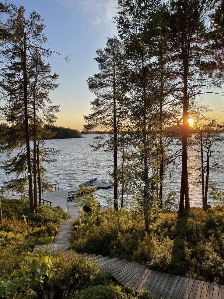 MittCPA's tweet photo. somewhere between the pines and the porch https://t.co/WbjLLZKqf6