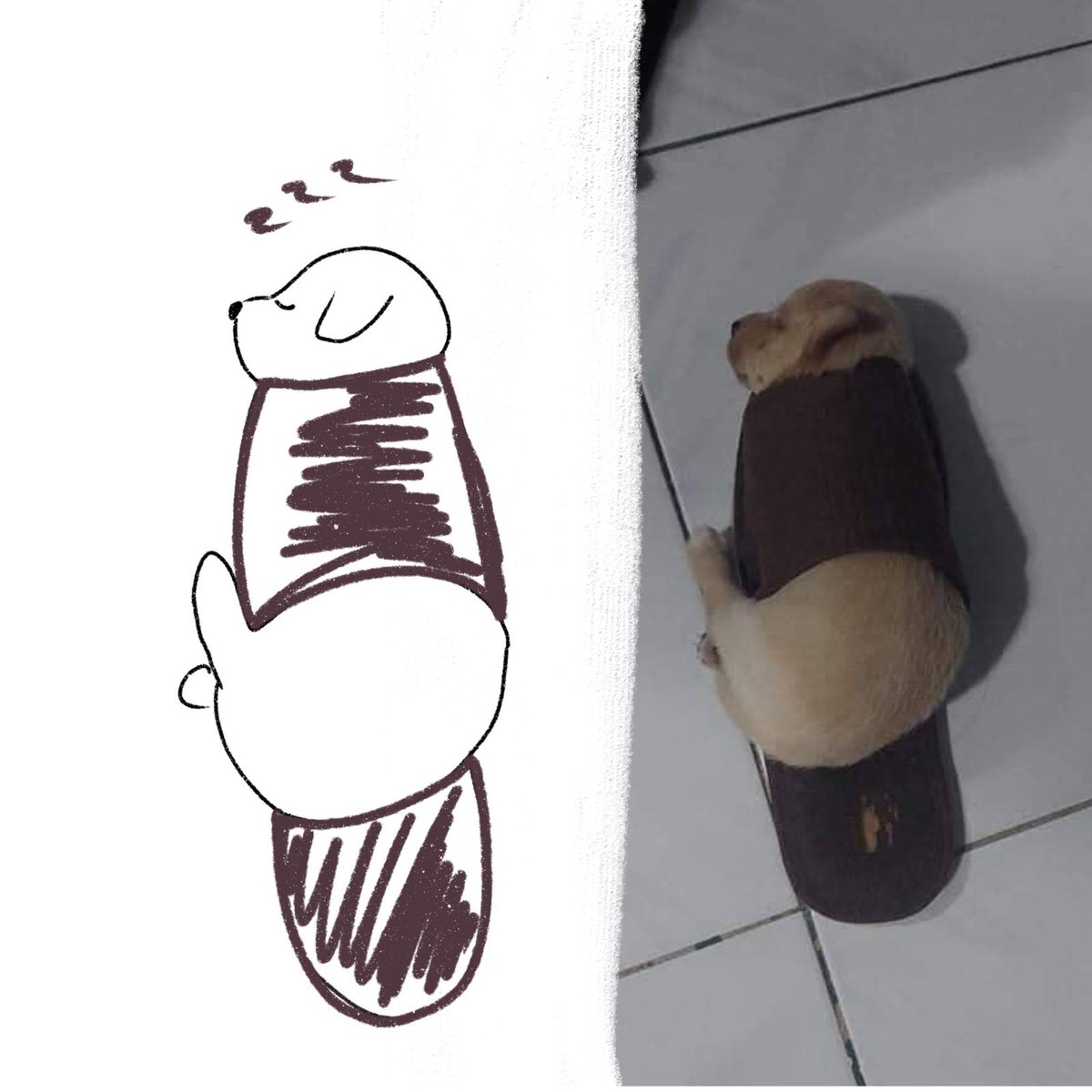twaniimals's tweet photo. https://t.co/AoLm2ZfcSP