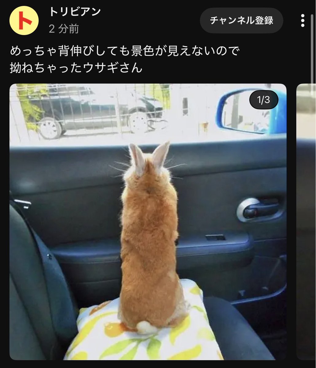 aira_Hardcore_'s tweet photo. エビフライに見えた https://t.co/7SfHIsGwZM