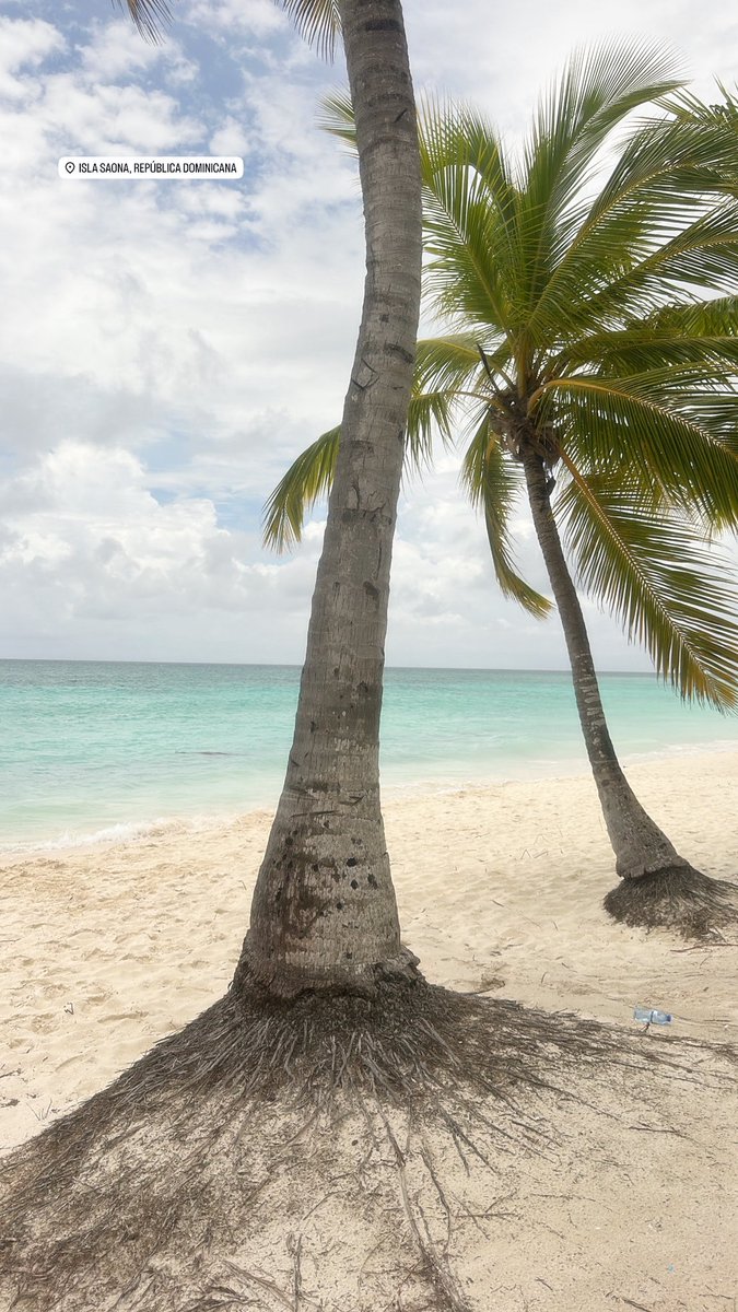Valefp17__'s tweet photo. La isla bonita 😍😍🇩🇴 https://t.co/8J1rFTEeWH