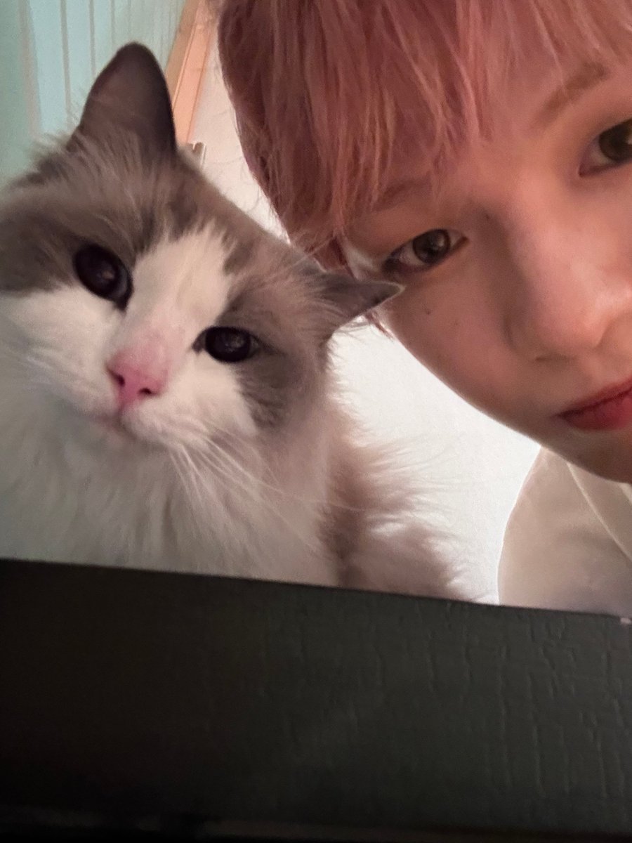 10o0xglow's tweet photo. 짱아랑 니에리 https://t.co/RJWk51Efav
