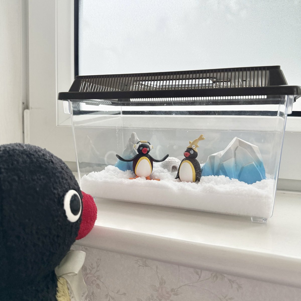 pingmyping's tweet photo. 🐧⛰️ https://t.co/8zezPNkh8m