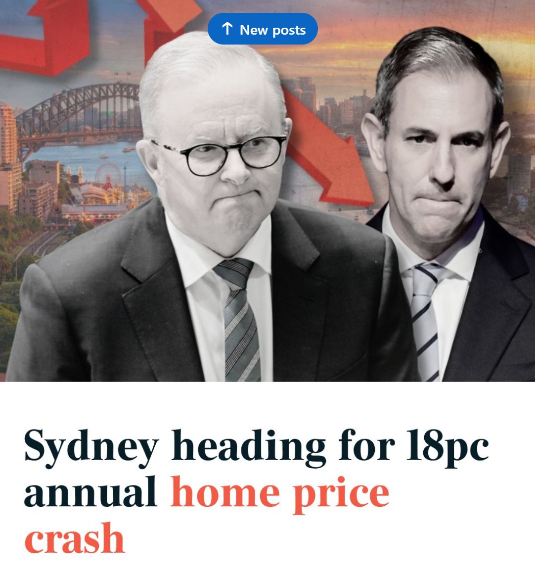 ausstockchick's tweet photo. The ultimate rug pull! https://t.co/TCJRxlyFuK