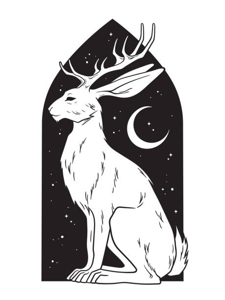 lpxaj8d's tweet photo. 磐梯高原の河原をカワセミが悠々と泳ぐ。 https://t.co/24bYYRVbUL