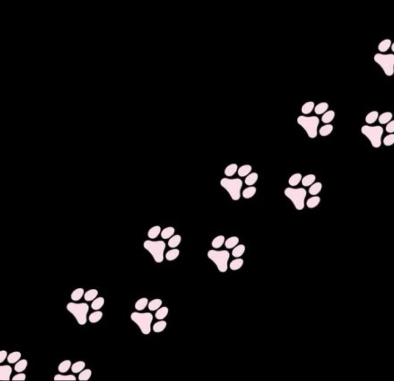dumbpuppi_'s tweet photo. 🐾𝐸𝑚 𐂯 20 🐾
࣪ ⊹ 𝑀𝐷𝑁𝐼⊹ ࣪ 
࣪ ⊹ 𝑠ℎ𝑒／𝑡ℎ𝑒𝑦 𝑝𝑎𝑛⊹ ࣪ 
࣪ ⊹ 𝑠𝑜𝑓𝑡／ℎ𝑎𝑟𝑑 𝑘𝑖𝑛𝑘𝑠 ⊹ ࣪ 
🐾𝑝𝑢𝑝𝑝𝑦𝑔𝑖𝑟𝑙 𝑡ℎ𝑜𝑢𝑔ℎ𝑡𝑠 🐾 https://t.co/1yKdxe6qr9