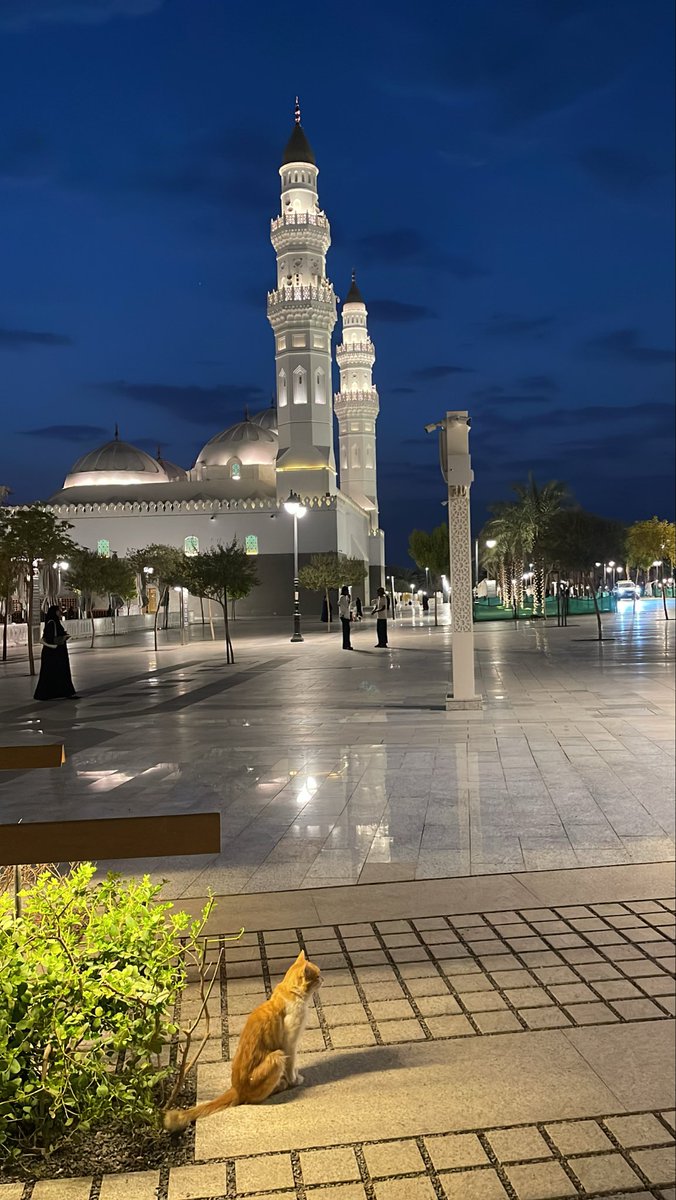 H18ala's tweet photo. المدينة المنورة💗 https://t.co/RLzPHIkw0t