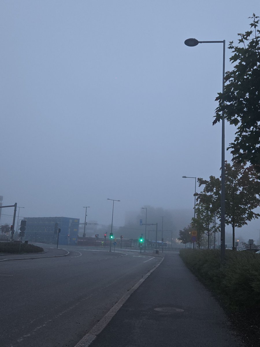 FrogWitchy's tweet photo. good morning, im to be one with the fog https://t.co/hbbzj6MIkN