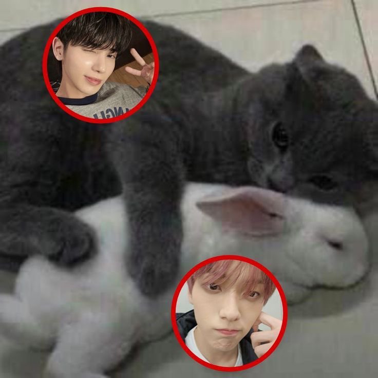 taebinholic's tweet photo. hilo de cosas #taebin / #trustiez en las que pienso mucho y me vuelven loco https://t.co/0HoWsOkkzA